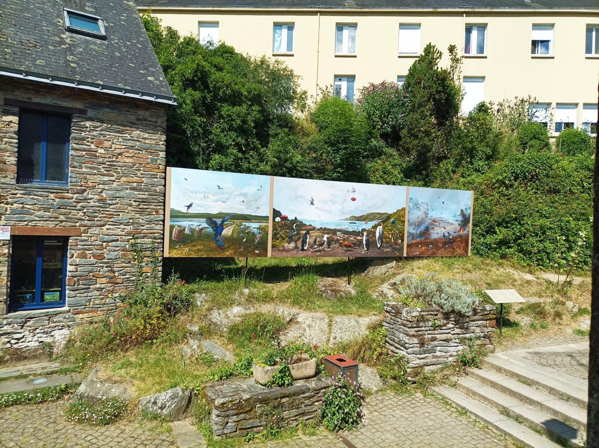 Panoramique Floral Centre Festival Photo Apartment La Gacilly Exterior photo